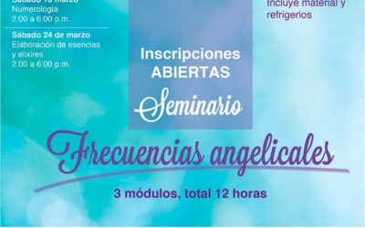 Seminario de Frecuencias Angelicales